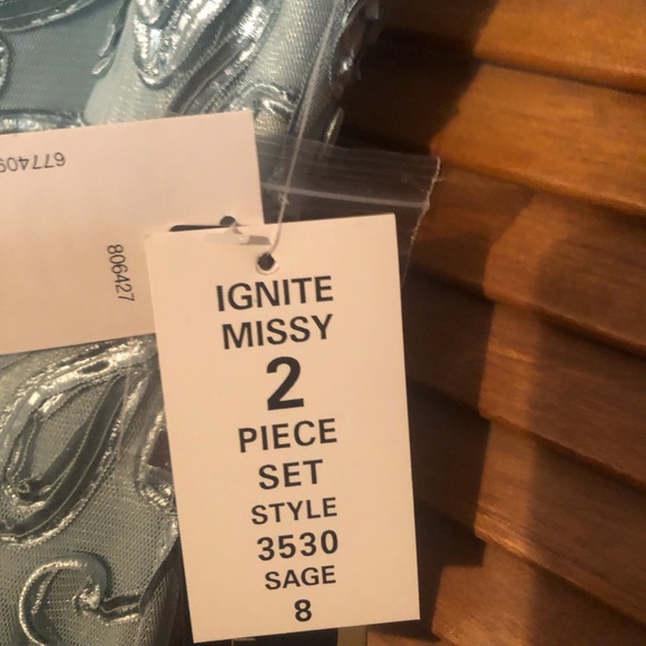 Ignite Evenings sage evening gown - Picture 6 of 6